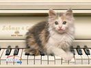 animals_43.jpg