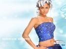 amrita_01.jpg