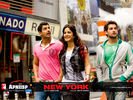 newyork_13.jpg